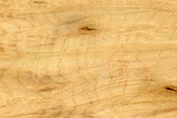 Lupa de Arce