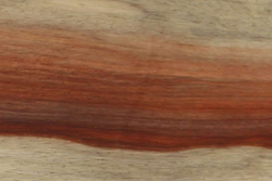 Palo Rojo Bariolé