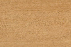 African Mahogany (khaya ivorensis)