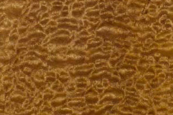 Sapelli Quilted