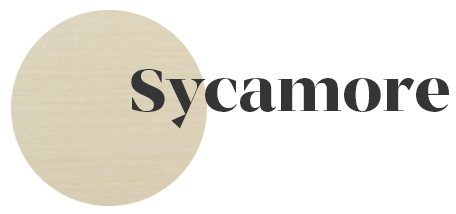 Sycamore