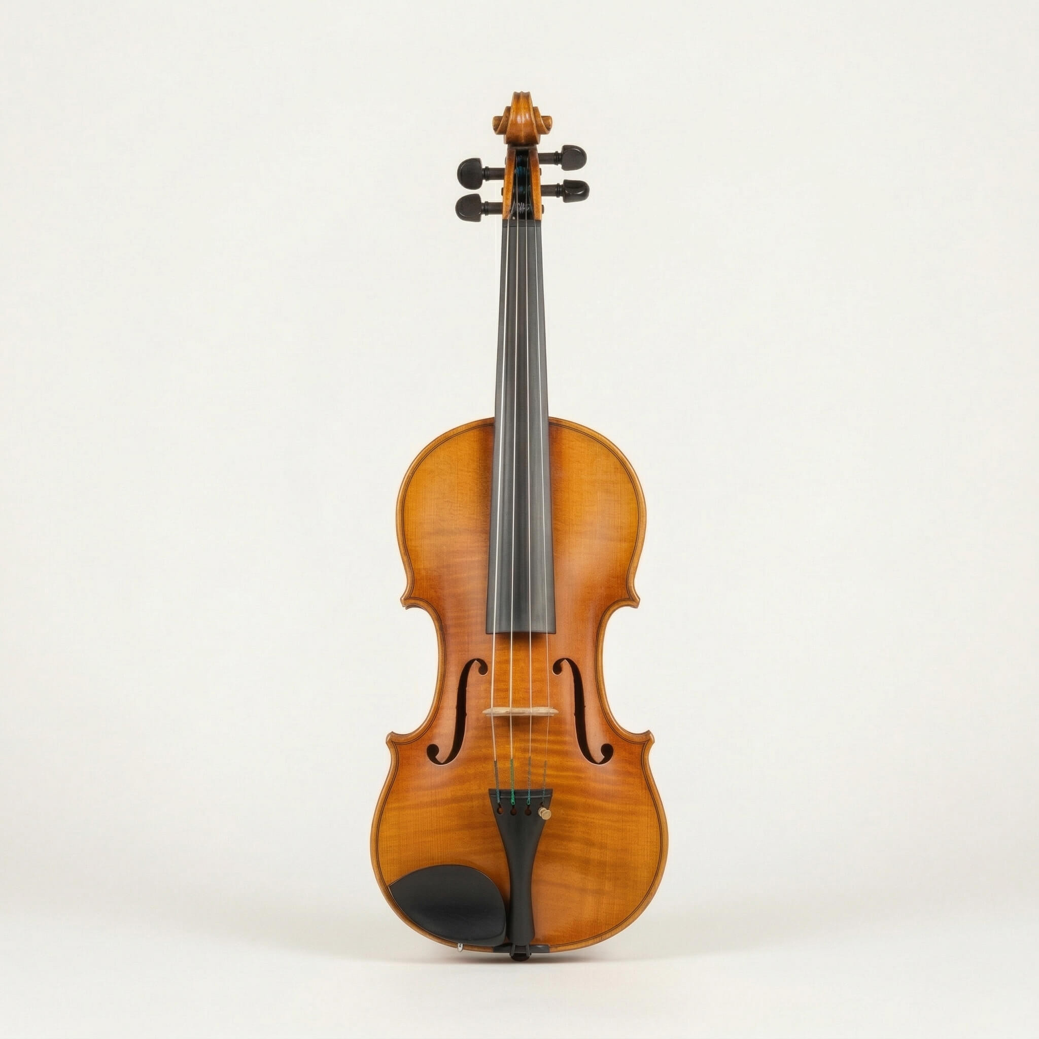 Violín