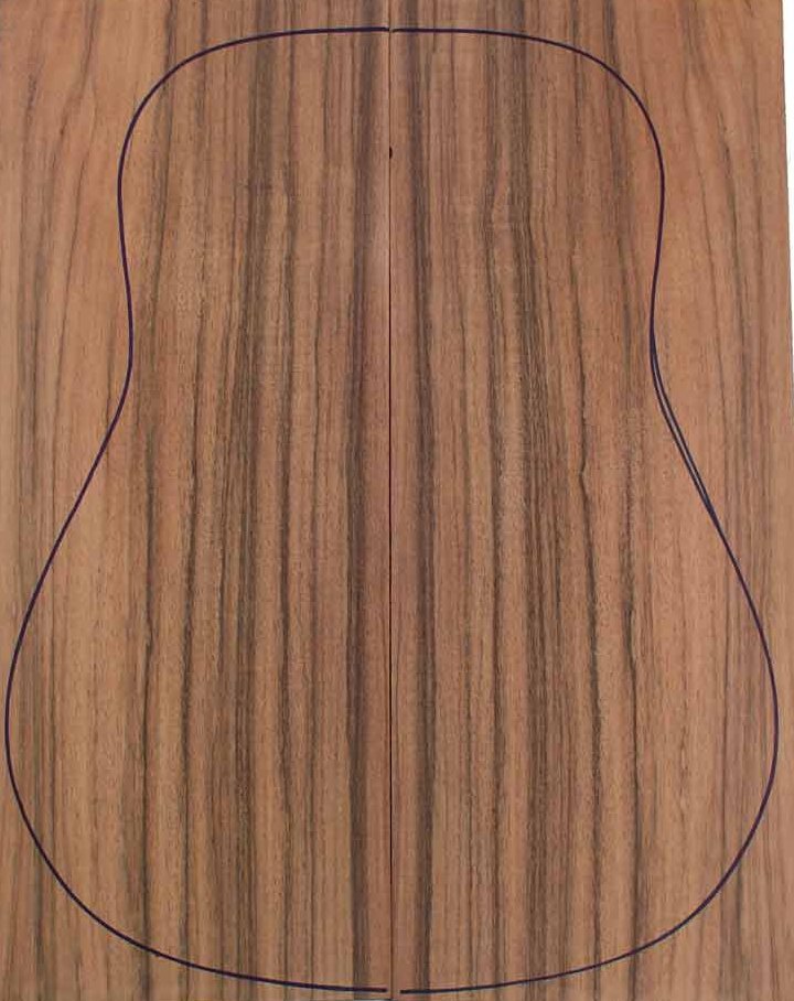 Laurel Backs Acoustic Guitar 2