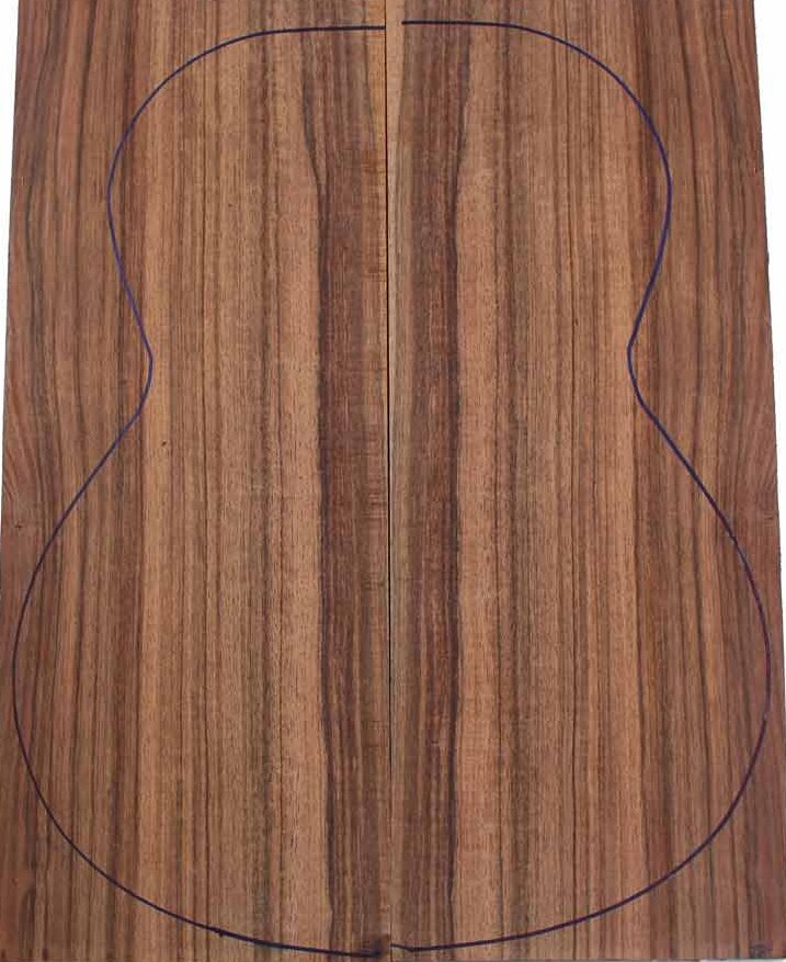 Laurel Backs Classic Guitar 2
