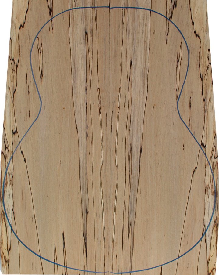 Spalted Beech Classic Guitar Backs