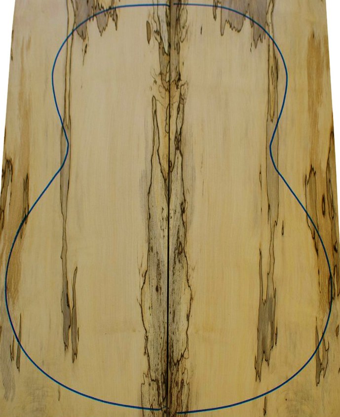 Spalted Maple Classic Guitar Backs