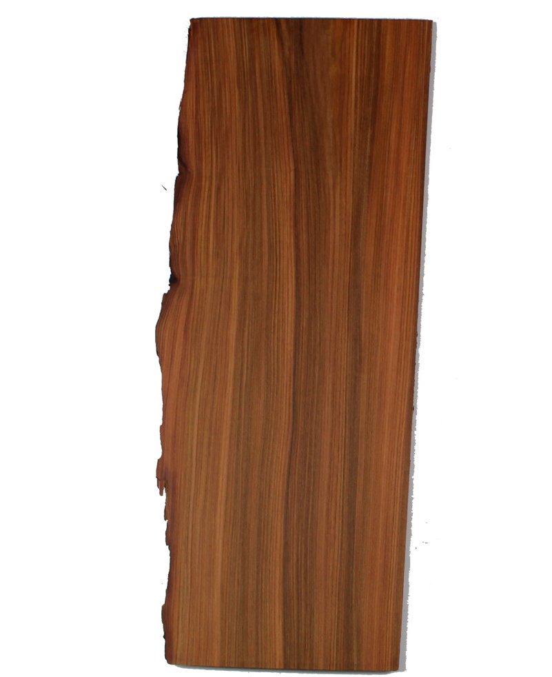 Santos Rosewood Single Back Acoustic / Classic Guitar 2