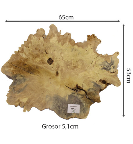 Slab Table Buckeye Burl Nº1