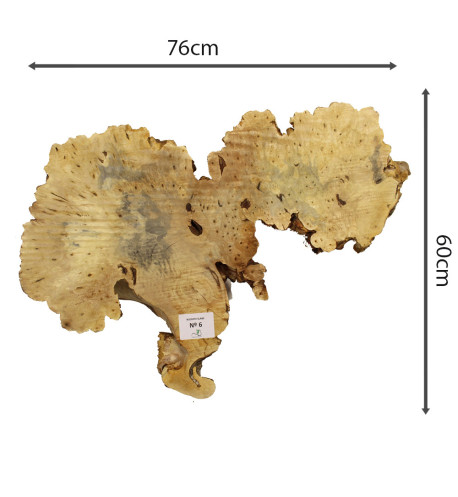 Slab Table Buckeye Burl Nº6