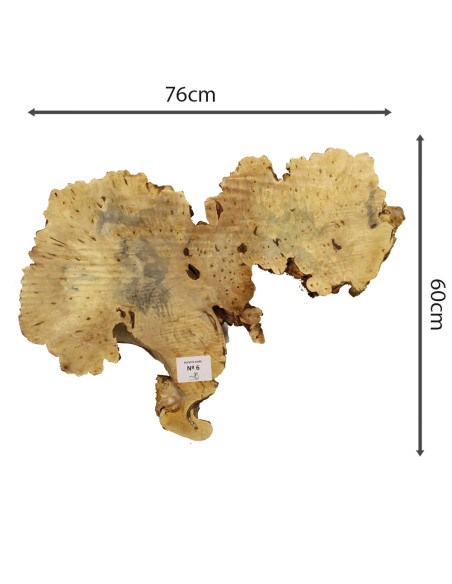 Slab Table Buckeye Burl Nº6