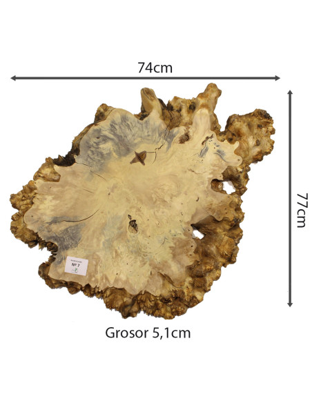 Slab Table Buckeye Burl Nº7