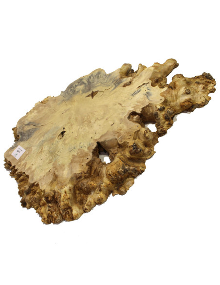 Slab Table Buckeye Burl Nº7