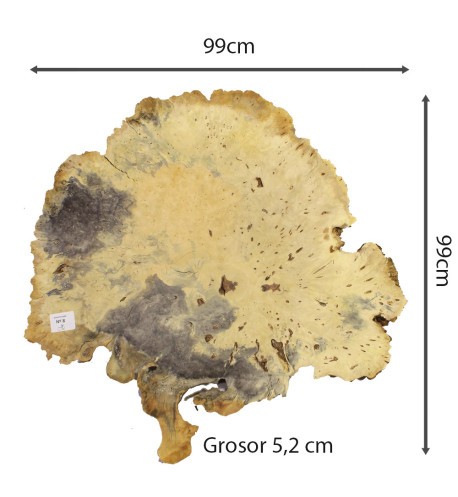 Slab Table Buckeye Burl Nº8