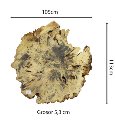 Slab Table Buckeye Burl Nº10