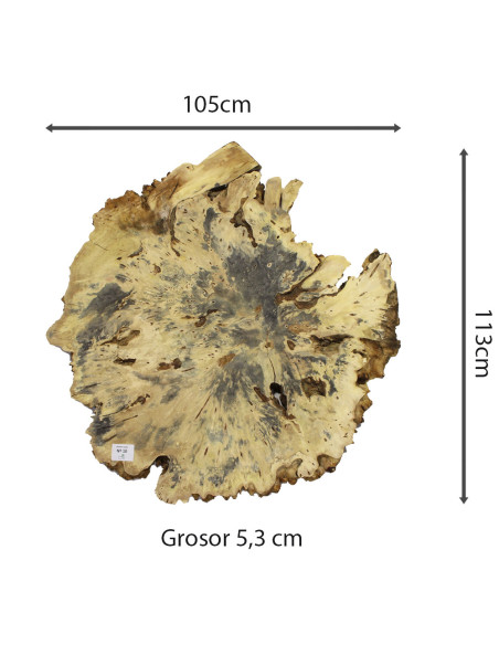 Slab Table Buckeye Burl Nº10