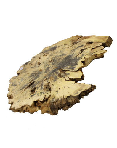 Pieza Lupa Buckeye para Mesa Nº10 2