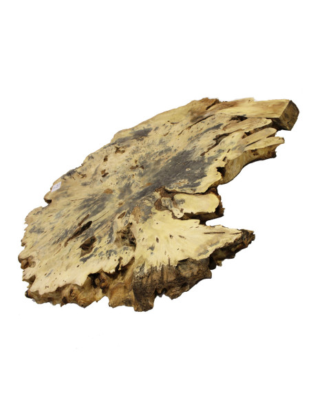 Slab Table Buckeye Burl Nº10