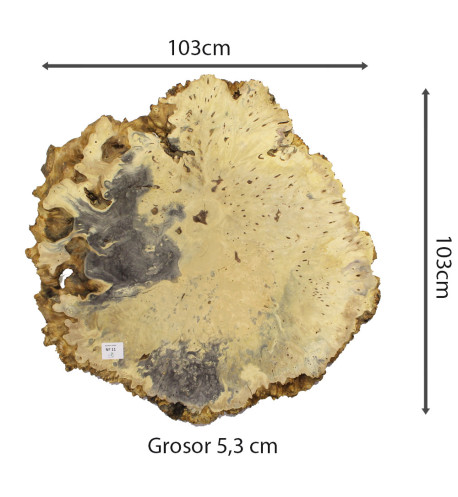 Slab Table Buckeye Burl Nº11