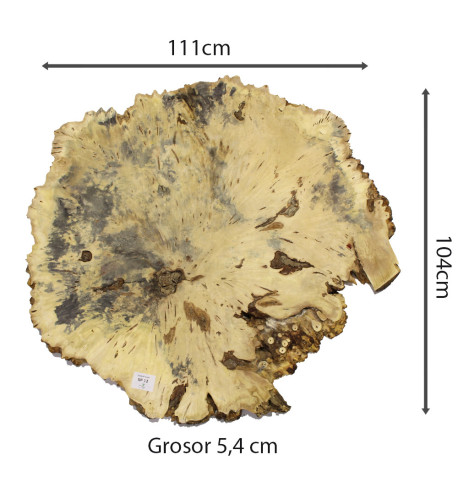 Slab Table Buckeye Burl Nº12