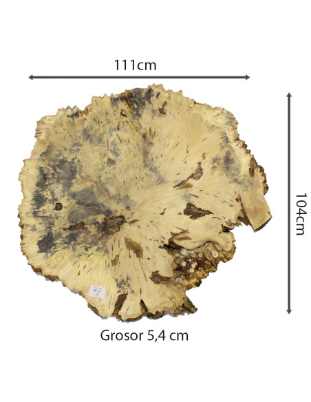 Slab Table Buckeye Burl Nº12