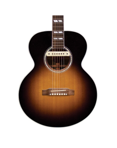 L.R. Baggs M1 Active Acoustic Rosette Pickup 2