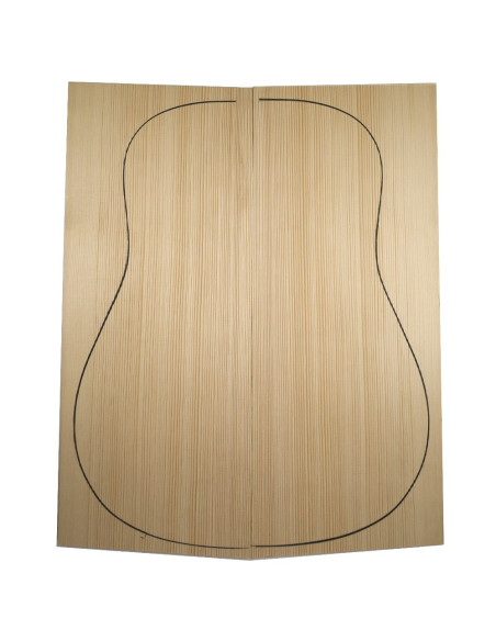 acoustic guitar top