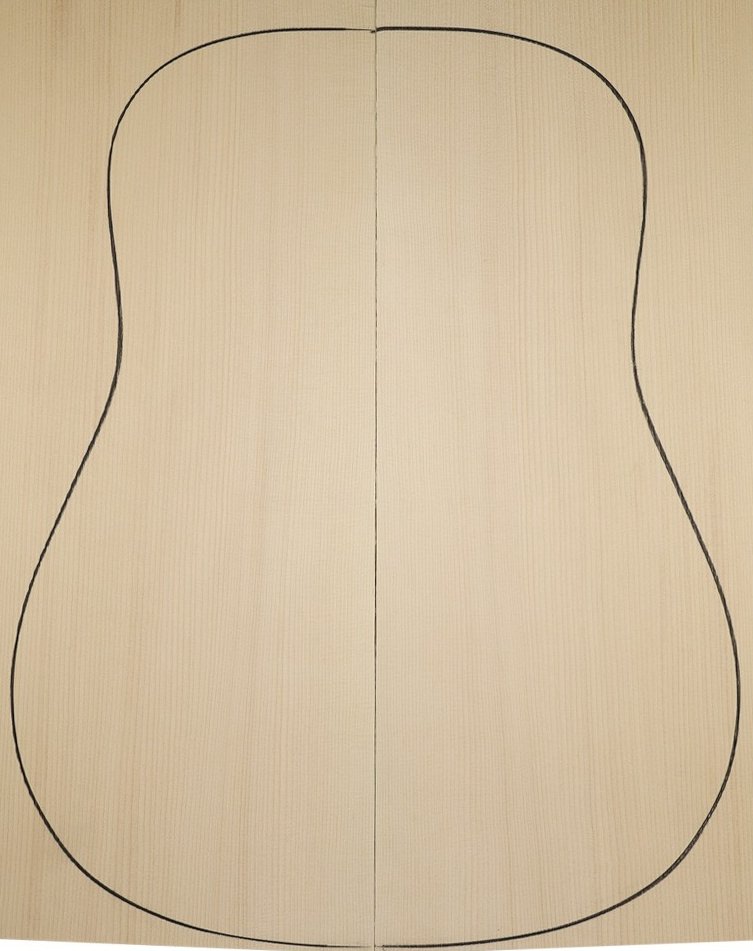 acoustic guitar top 2