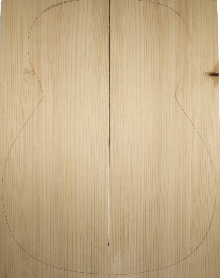 adirondack spruce 2