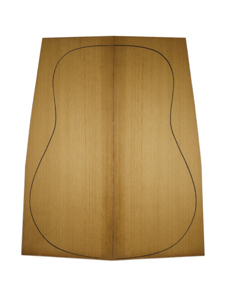 acoustic guitar soundboard