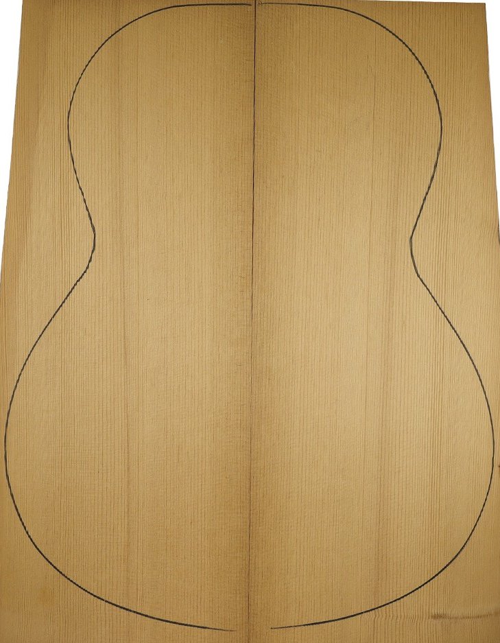 torrefied adirondack spruce 2