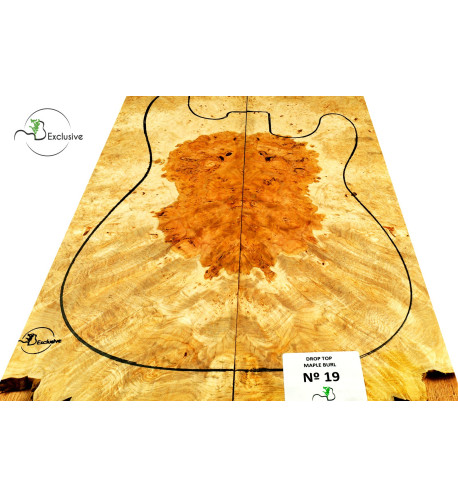 MB Exclusive Big Leaf Maple Burl Drop Nº 19