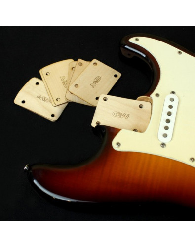 calzo guitarra 2