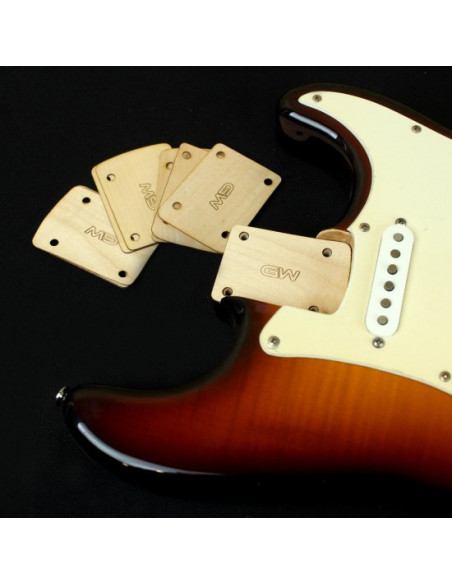 stratocaster shim