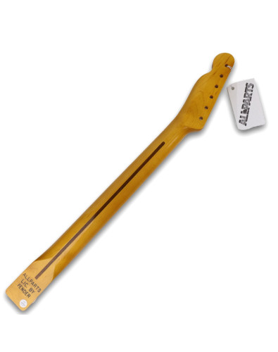 All parts One piece Maple Neck for Telecaster® Vintage Tinted 2