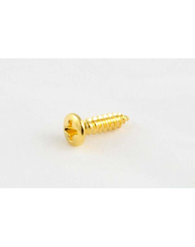 Pickguard screws (20 pcs.) phillips head, nº 4 x 1/2" (12.7mm)