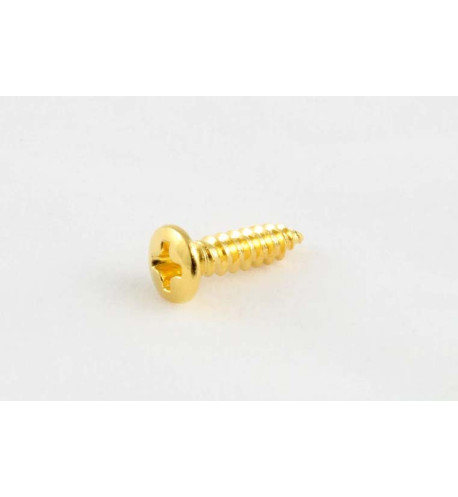 Pickguard screws (20 pcs.) phillips head, nº 4 x 1/2" (12.7mm)