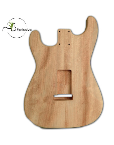 stratocaster body 2