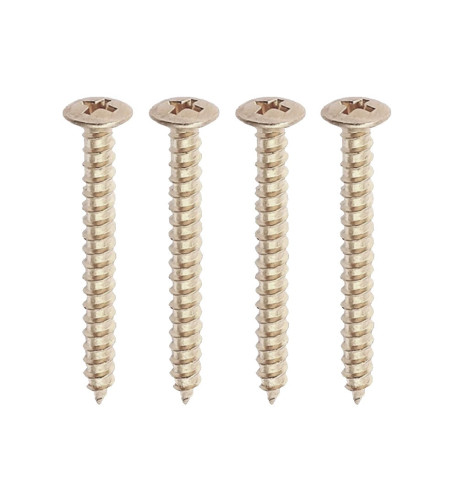 Neckplate Screws Nickel