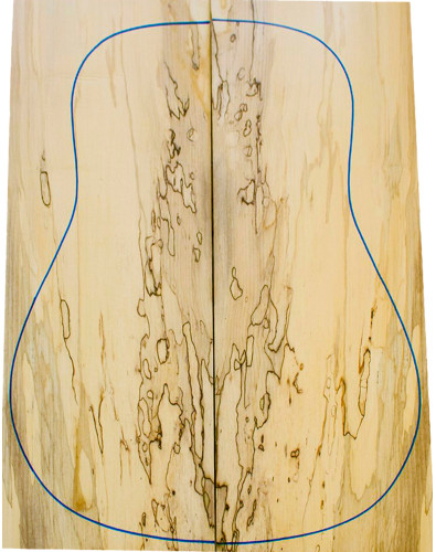 Fonds Erable Spalted...