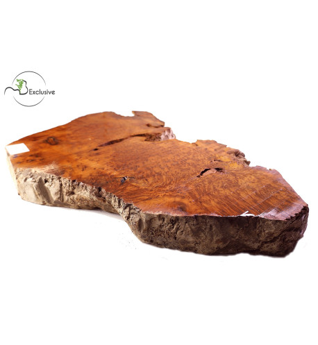 Thuya Burl MB Exclusive Nº2