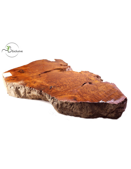 Thuya Burl MB Exclusive Nº2