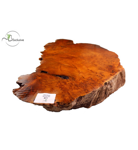 Thuya Burl MB Exclusive Nº7