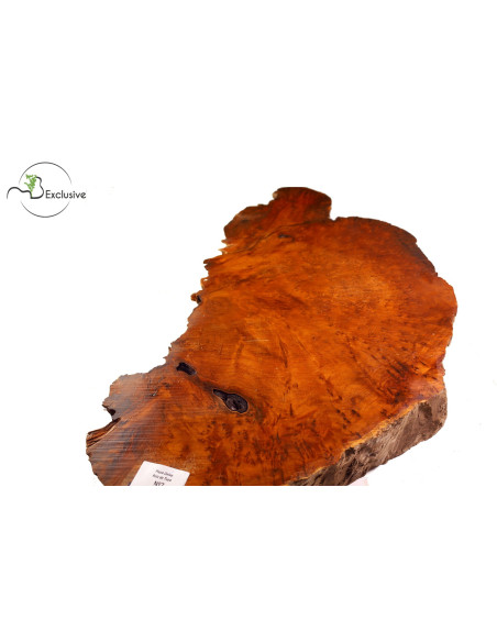 Thuya Burl MB Exclusive Nº7