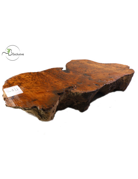 Thuya Burl MB Exclusive Nº9