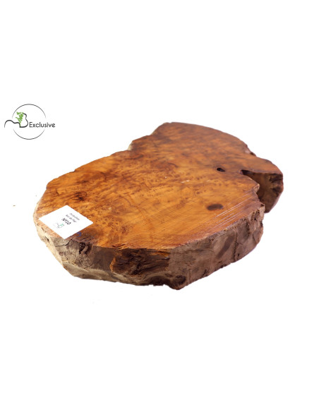 Thuya Burl MB Exclusive Nº10