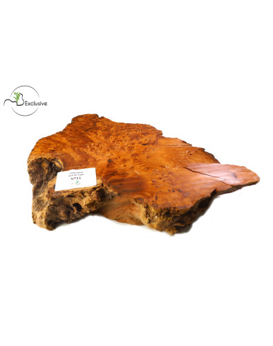 Thuya Burl MB Exclusive Nº11