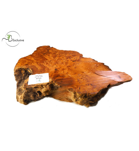 Thuya Burl MB Exclusive Nº11