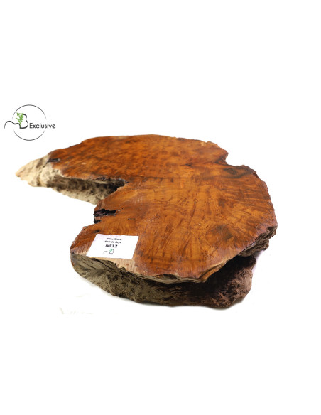 Thuya Burl MB Exclusive Nº12