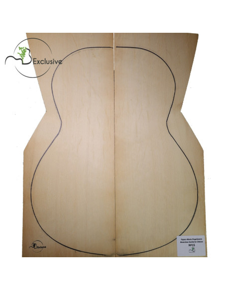 MB Exclusive Bearclaw Engelmann Spruce Classical Guitar Tops Nº 15