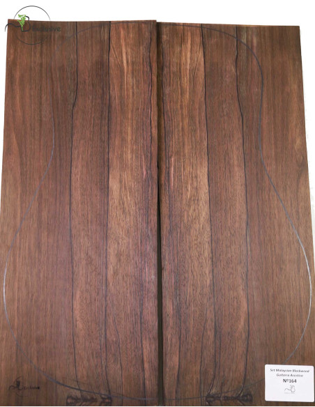 Jeu Malaysian Blackwood Guitare Acoustique MB Exclusive Nº164